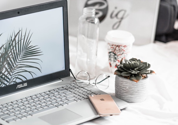 turned-on Asus laptop near eyeglasses, succulent plant, and empty clear glass bottle