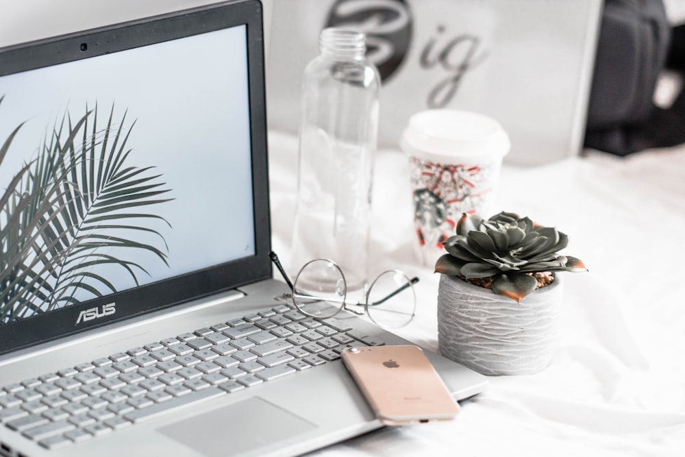 laptop Asus acceso vicino a occhiali, pianta grassa e bottiglia di vetro trasparente vuota
