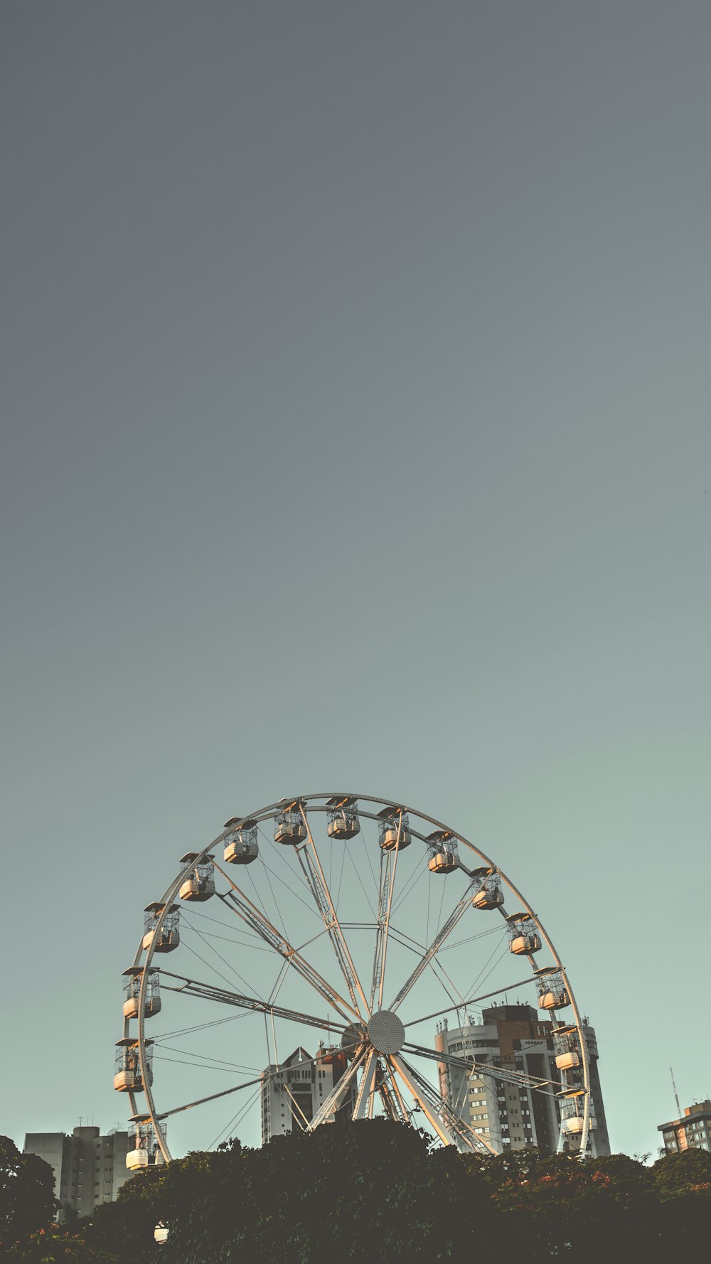 Photographie en niveaux de gris de la grande roue