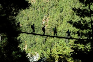 five person walking on hanging bridge