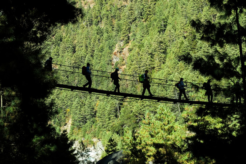 Cinco personas caminando en el puente colgante