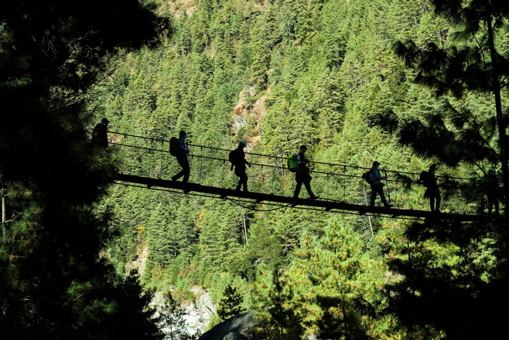 five person walking on hanging bridge