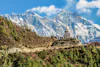 About Dynamic Yatra & Travels - Best Tour and Travels Company & Safe Taxi Service in Uttarakhand