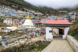 A hillside town with buildings stacked along the slope, featuring a prominent white stupa with a golden spire. A gateway with traditional architecture and colorful prayer flags add to the cultural ambiance. The landscape is lush with greenery and the sky is overcast.