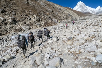 people carrying backpack