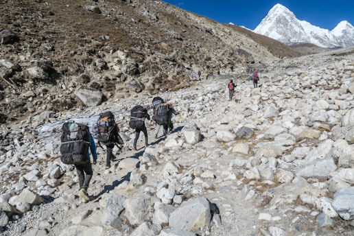 people carrying backpack