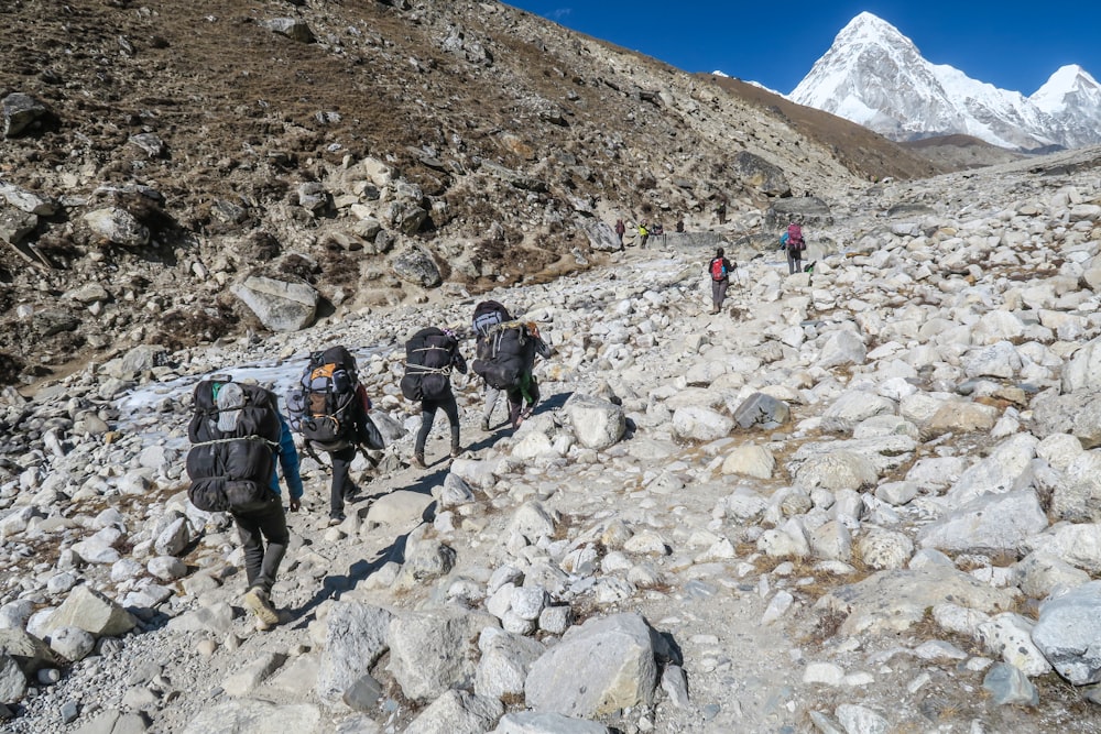 people carrying backpack