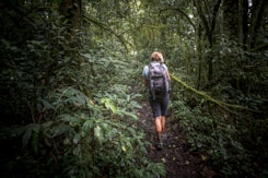 woman surrounded plants and trees