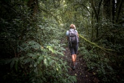 woman surrounded plants and trees