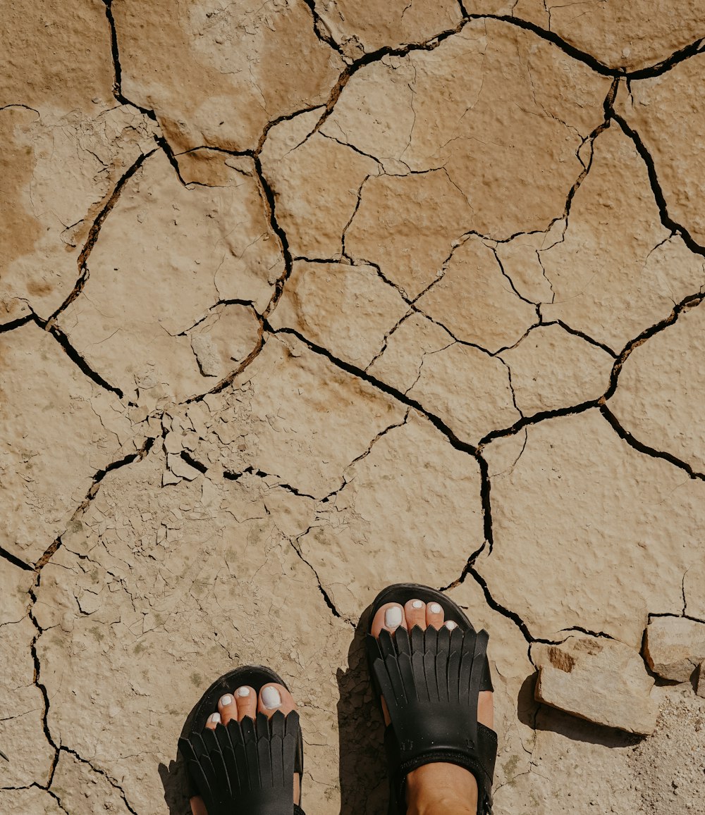 person standing on brown surface