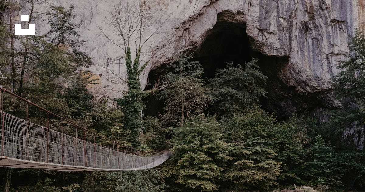 Cave Rope Bridge Bridge heading cave covered with plants photo – Free Grey Image on Unsplash