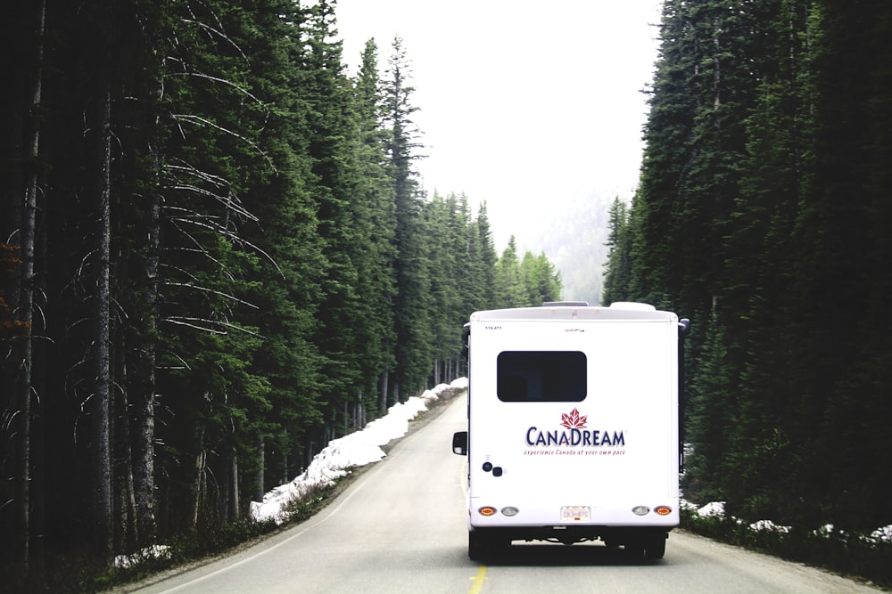 white Canadream van on road during daytime