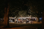 An event showcasing live poetry readings under the stars.