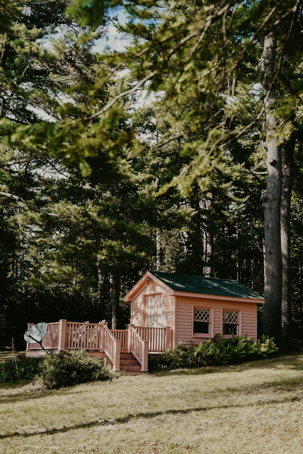 Rosa gestrichenes Haus im Wald