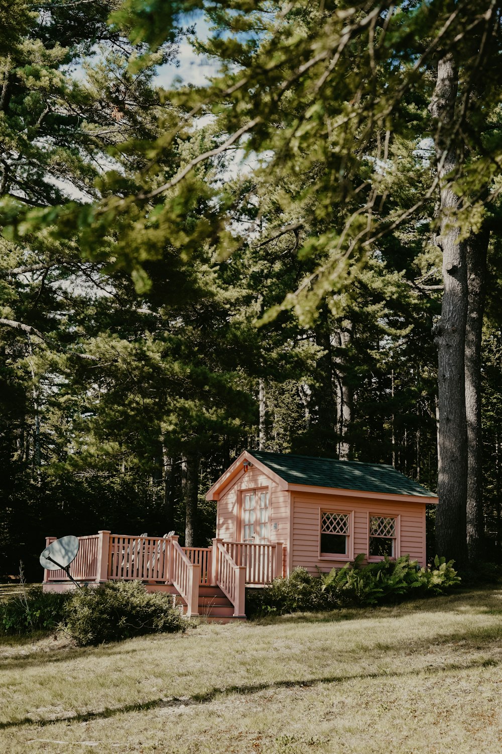 Casa pintada de rosa en el bosque