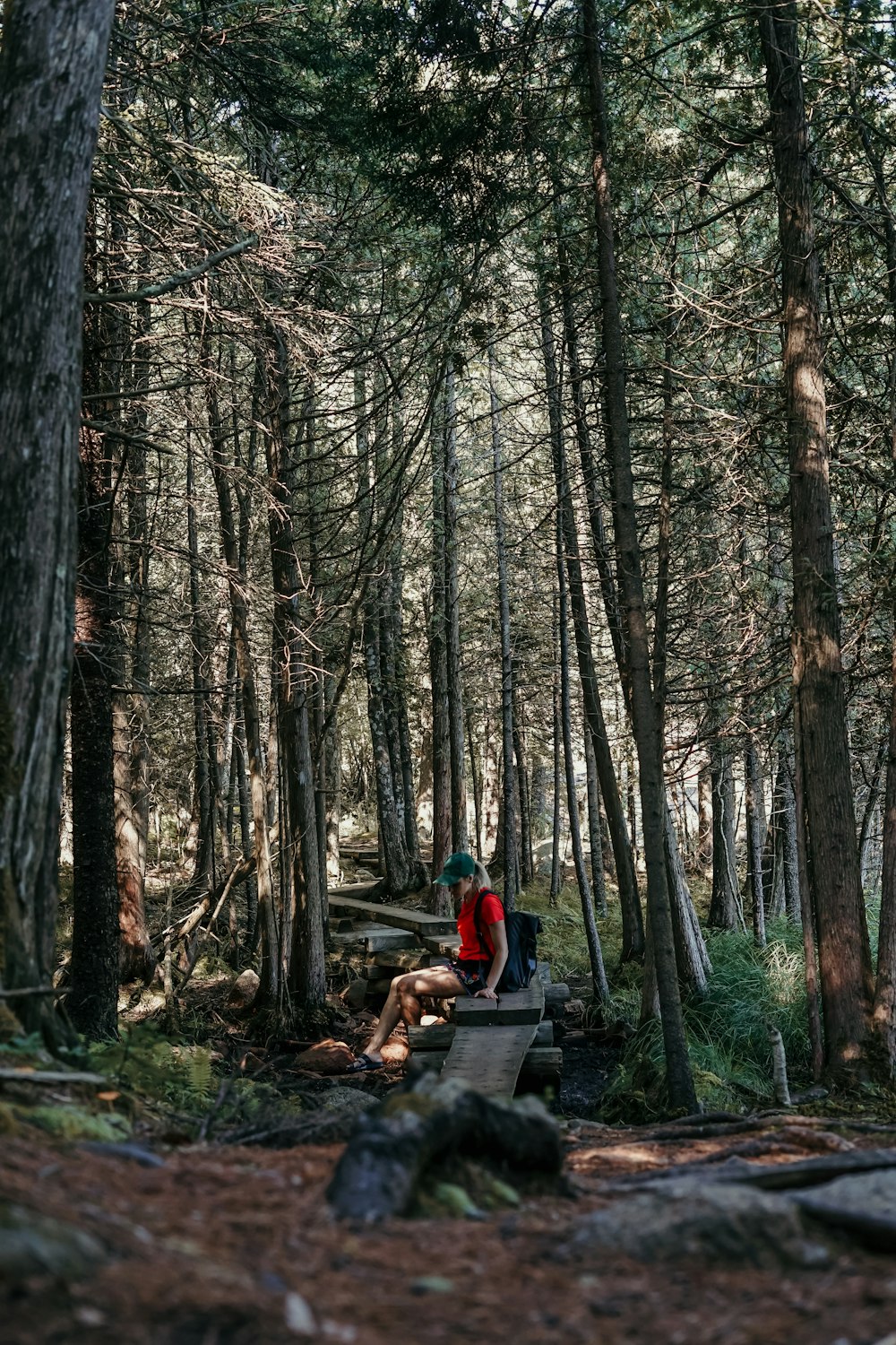 person sitting down between trees