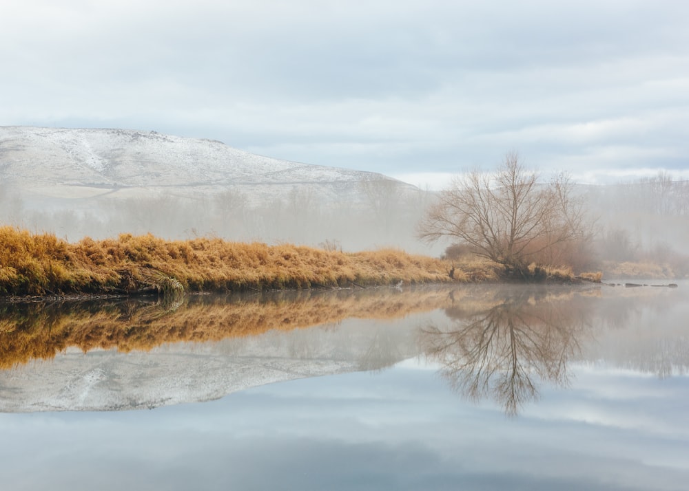 Lago cerca de la cordillera nevada