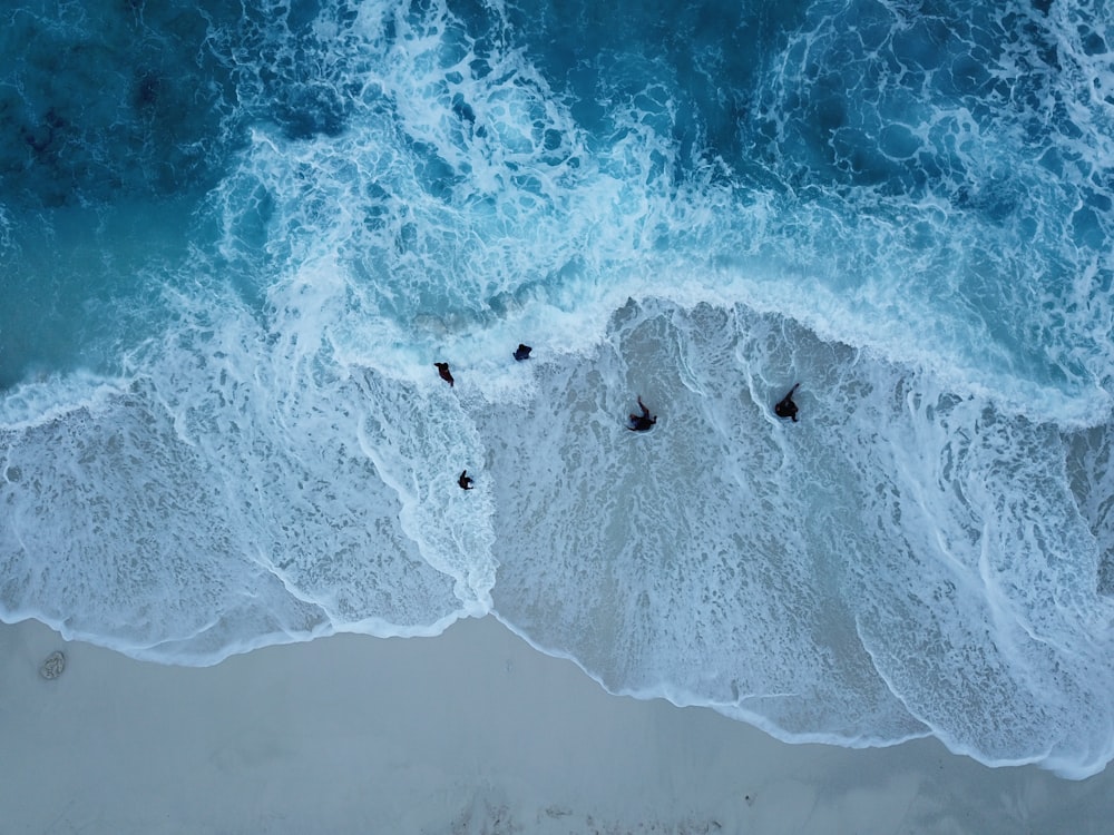 aerial view photography of five seashore