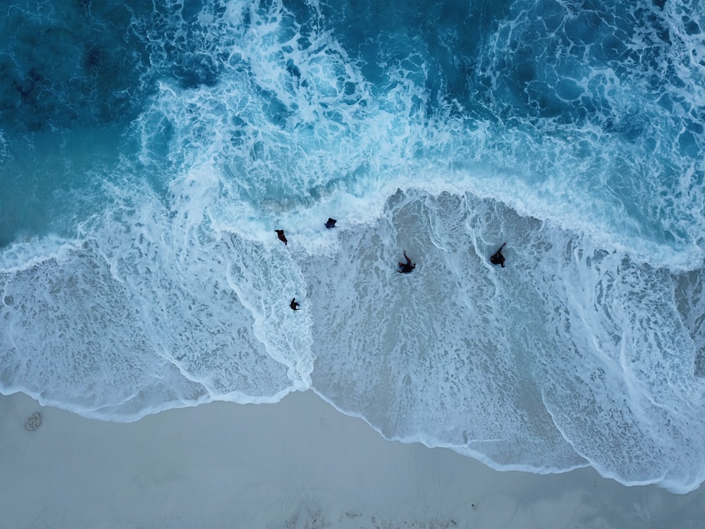 Fotografía de vista aérea de cinco orillas del mar