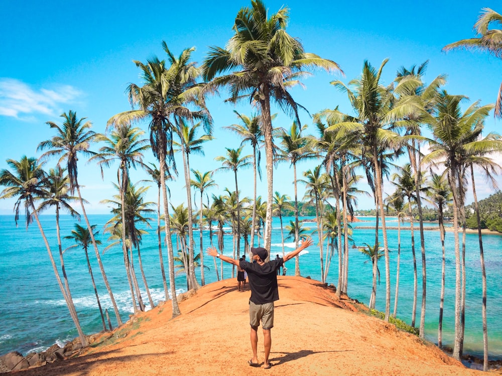 uomo in piedi davanti agli alberi di cocco