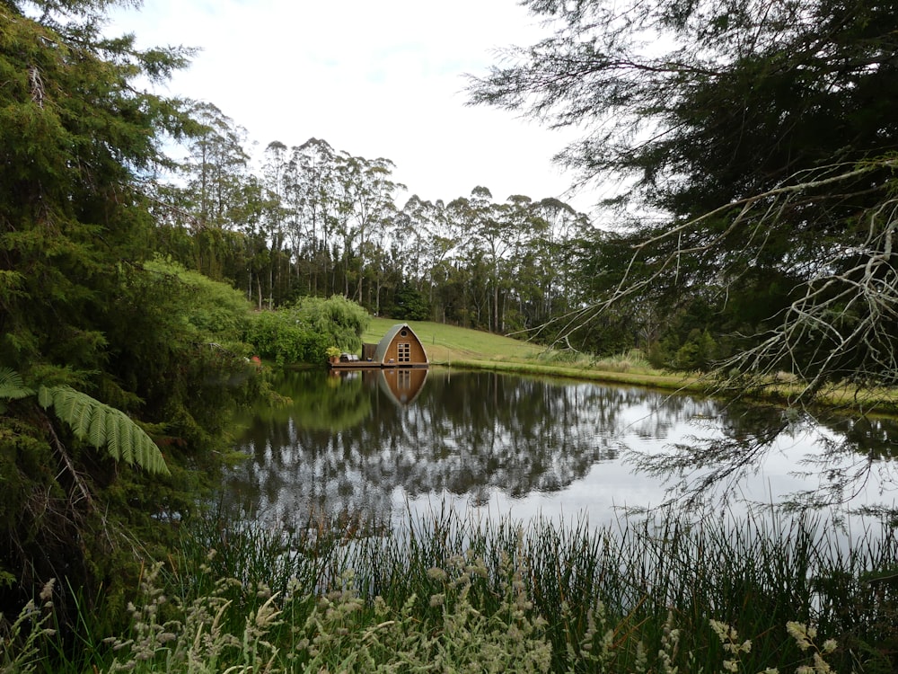 shack near body of water surrounded with trees