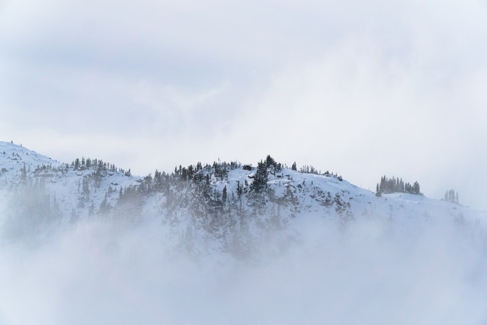 foggy mountain during winter