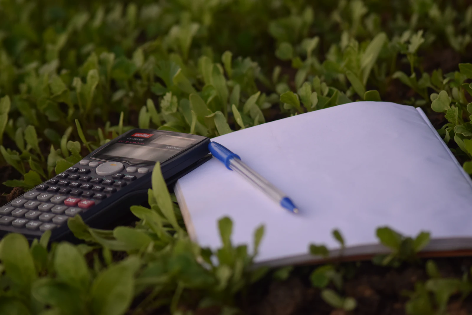 Calculator and pen on a desk, used for budgeting