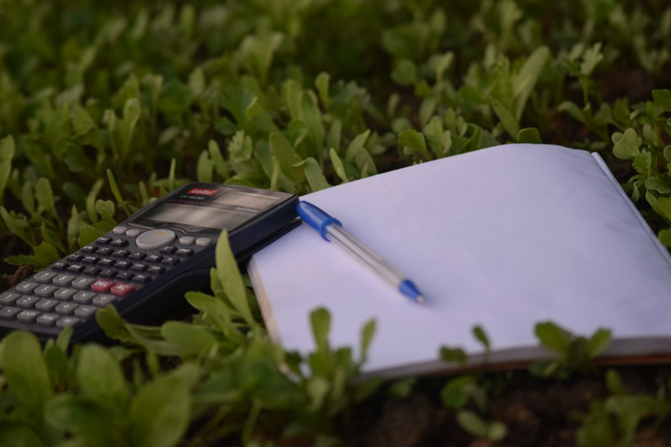 Understanding Business Bank Accounts for Freelancers