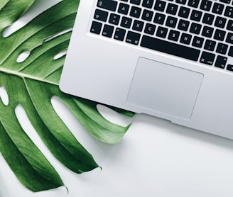 silver laptop computer on green leaf