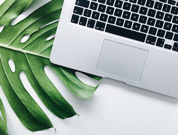 silver laptop computer on green leaf