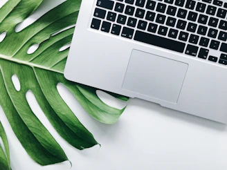silver laptop computer on green leaf