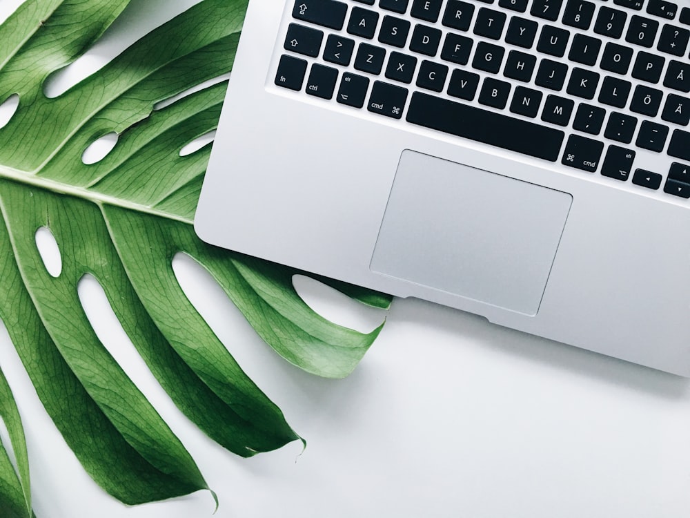 silver laptop computer on green leaf