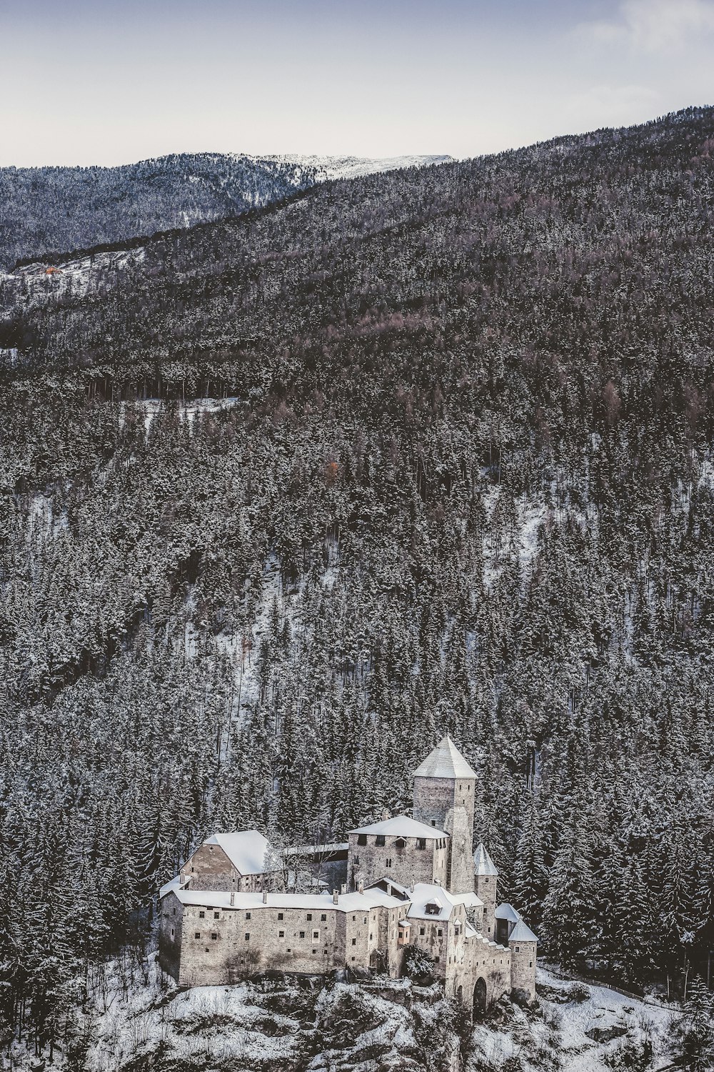 gray castle in forest