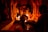 A group of people are engaged in a ritual or prayer ceremony inside a temple. The scene is illuminated by firelight, casting warm, orange glows on the ornate pillars and architecture. Some individuals are standing with hands clasped in prayer, while others are tending to the flames or the central object of focus.