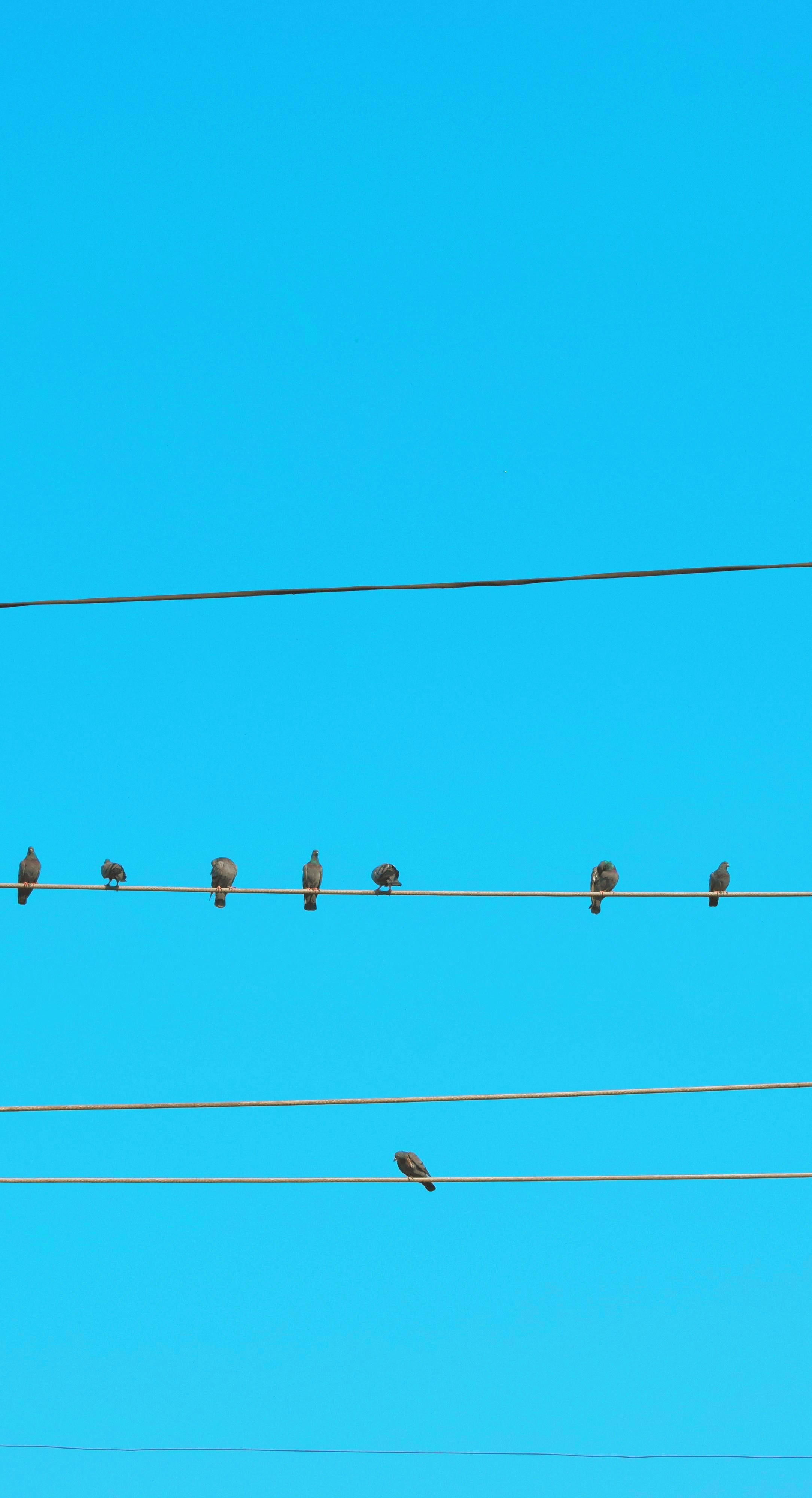 Photo by wallsbysmit