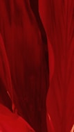 red scoop neck long sleeve shirt