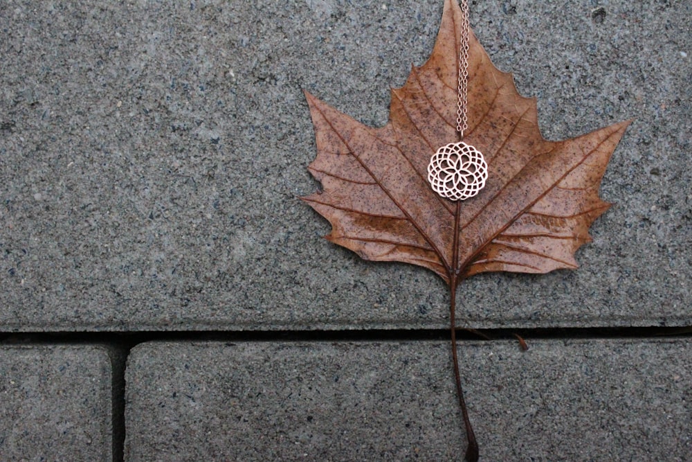 round silver-colored ornament on brown leaf