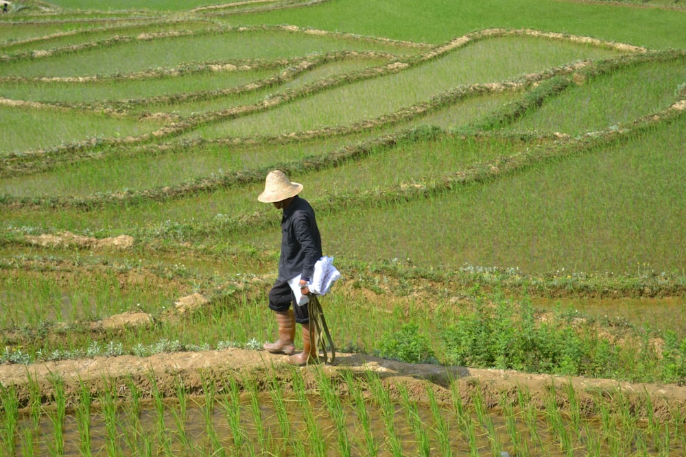 man standing beside green plantation