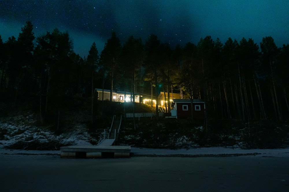 house at forest