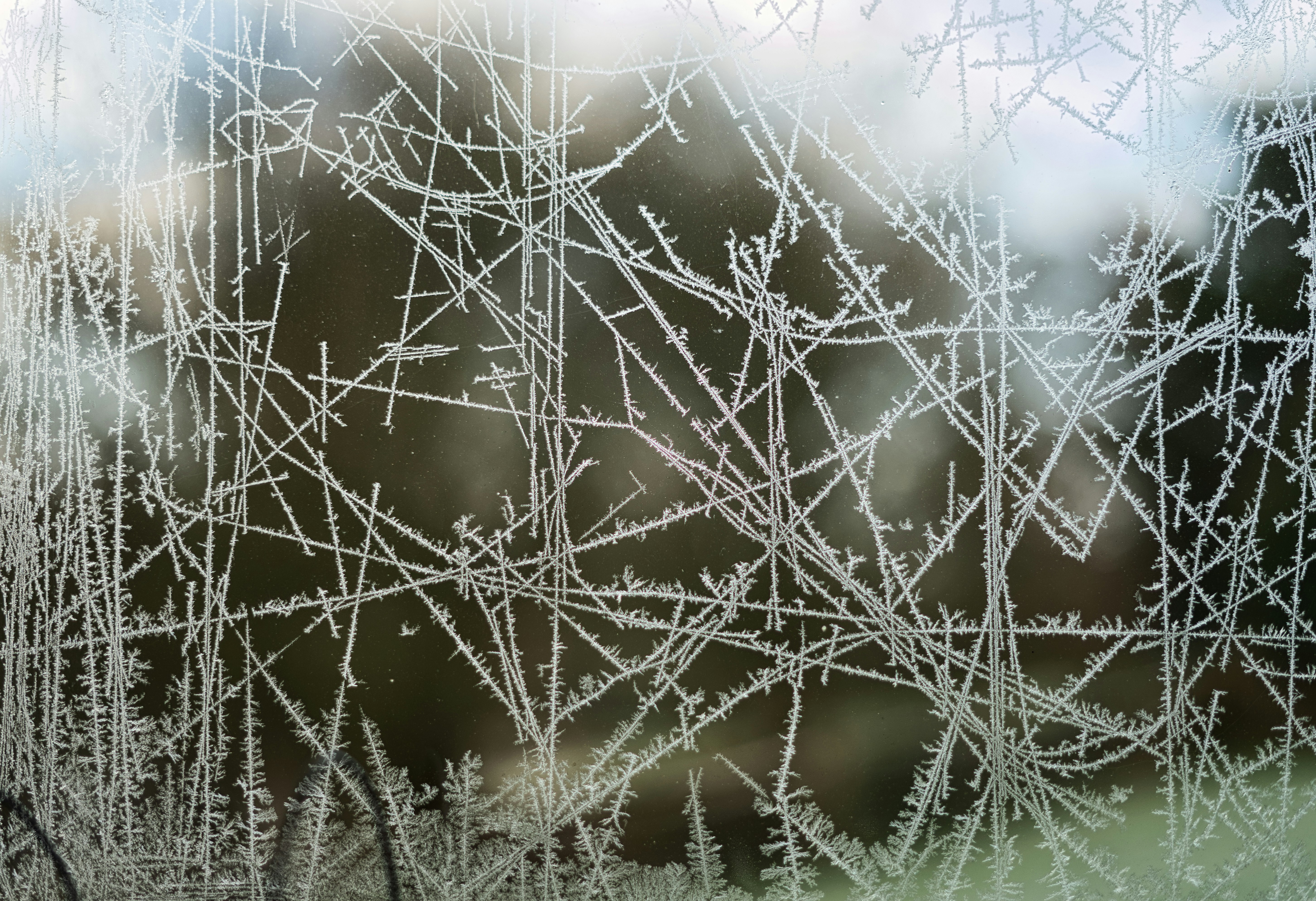 Winter frost