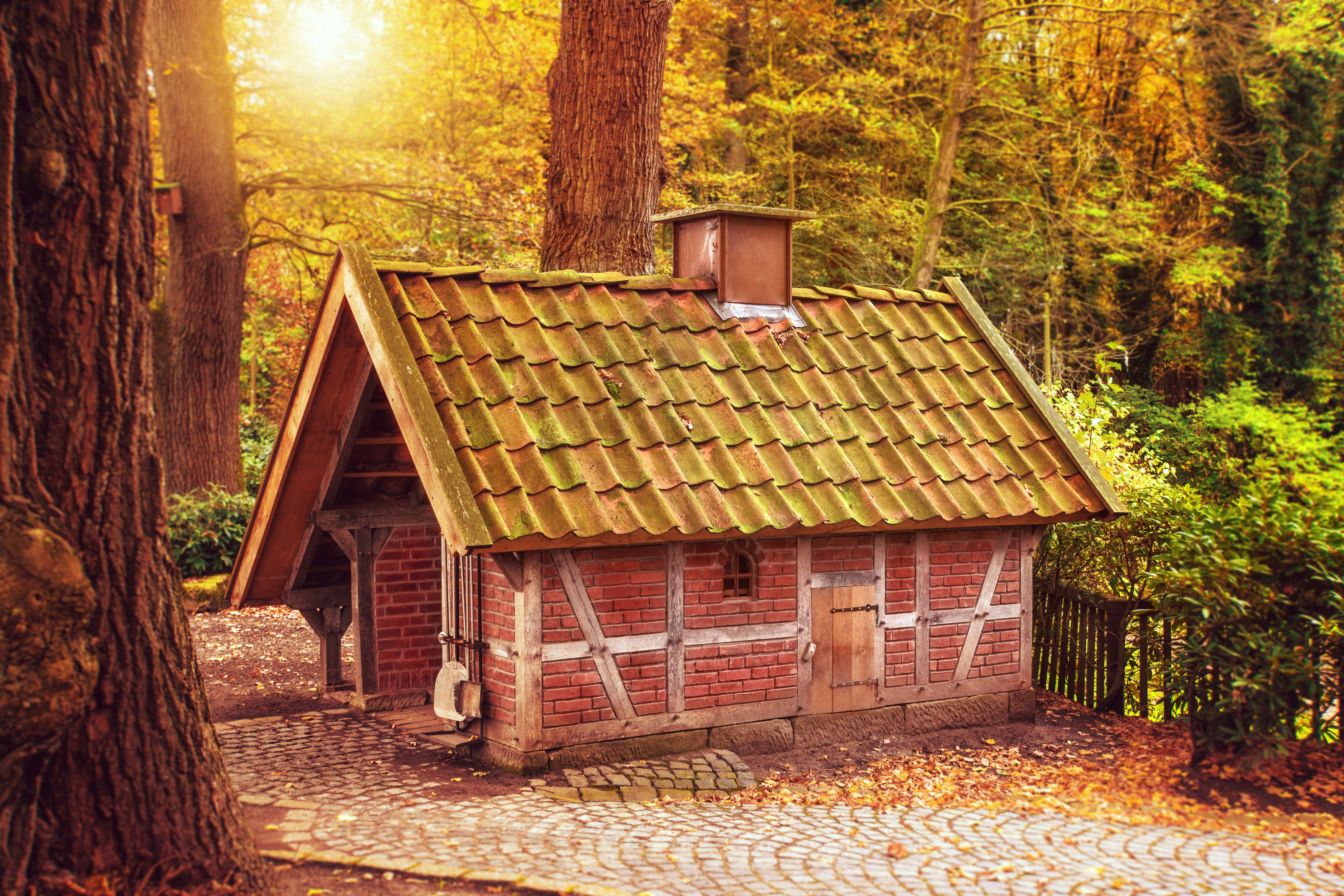 Photo by darkmoonart