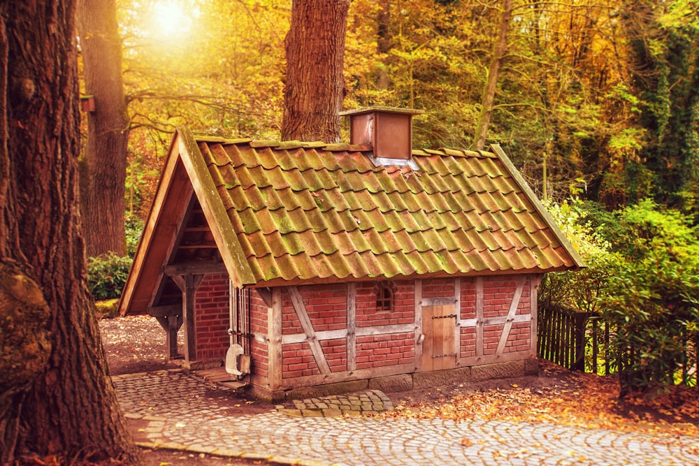 brown cabin at forest