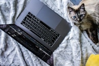 A cheerful cat lounging beside a laptop open to the genxcatlady blog homepage.