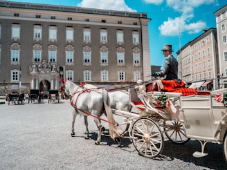 man riding on carriage