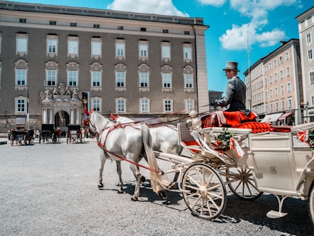 man riding on carriage