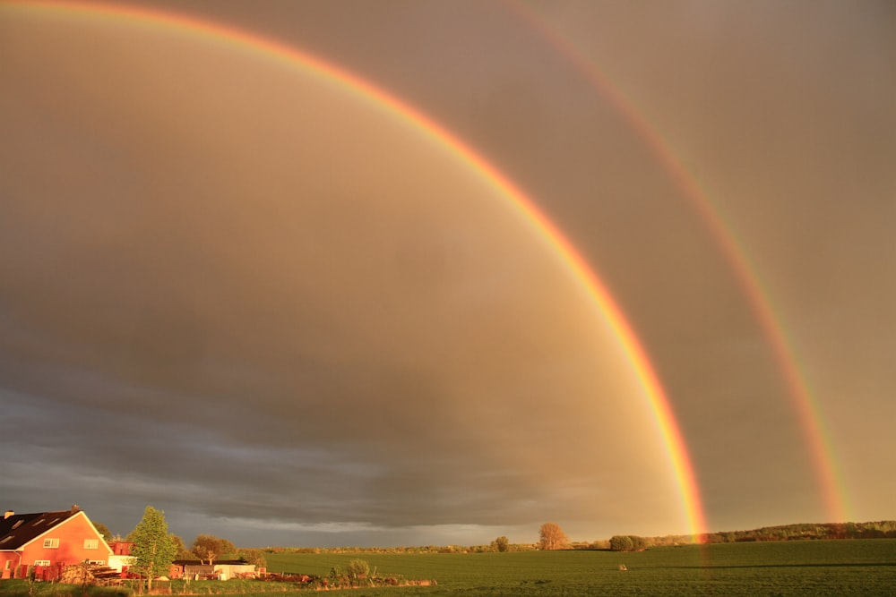 rainbow above plain