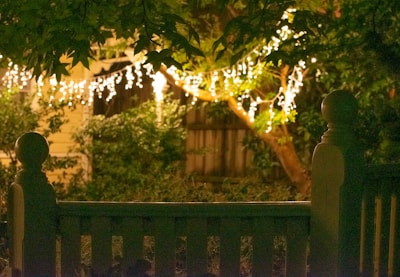 Warm glowing string lights wrapped around a tree in a lush garden.