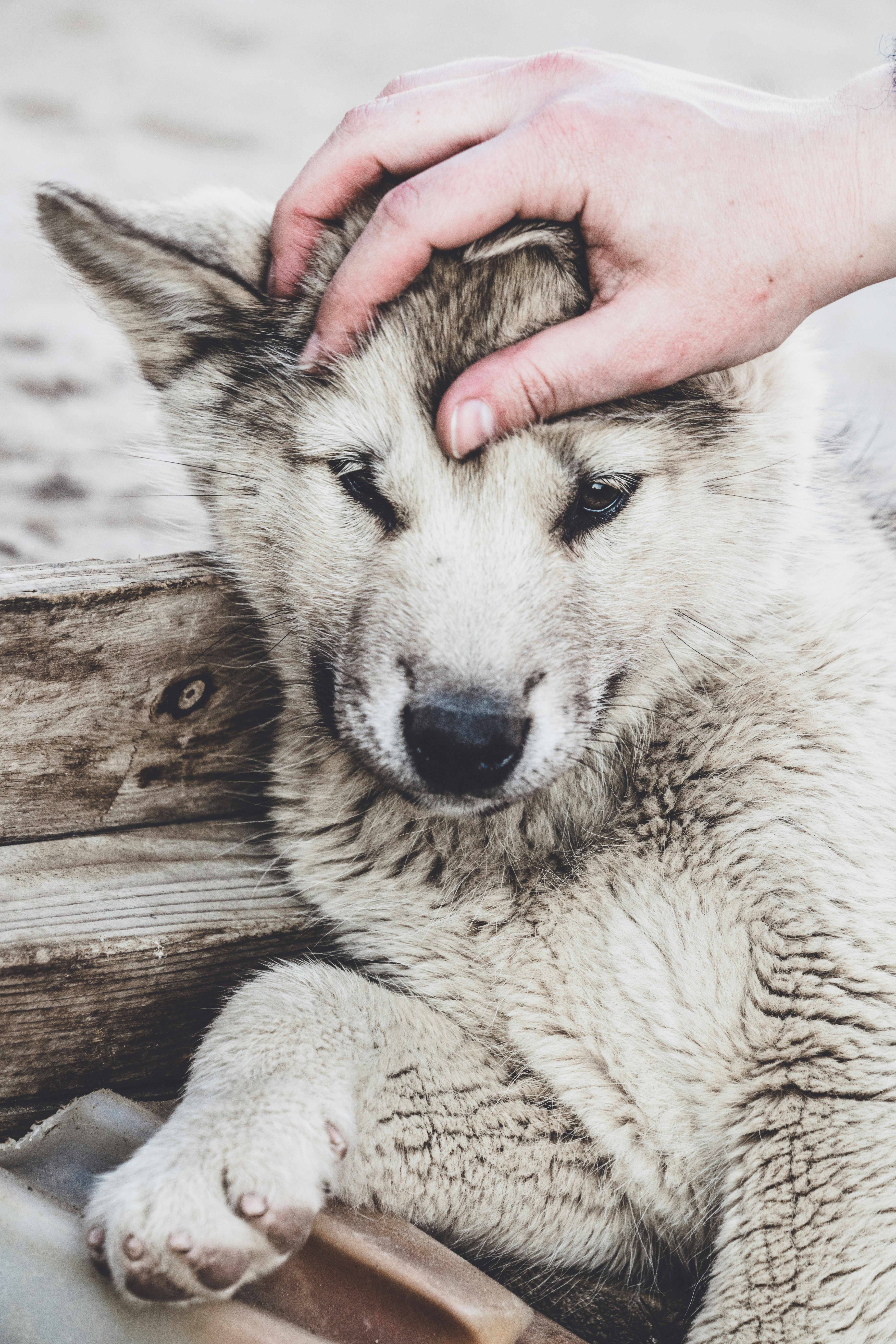 Photo by anniespratt