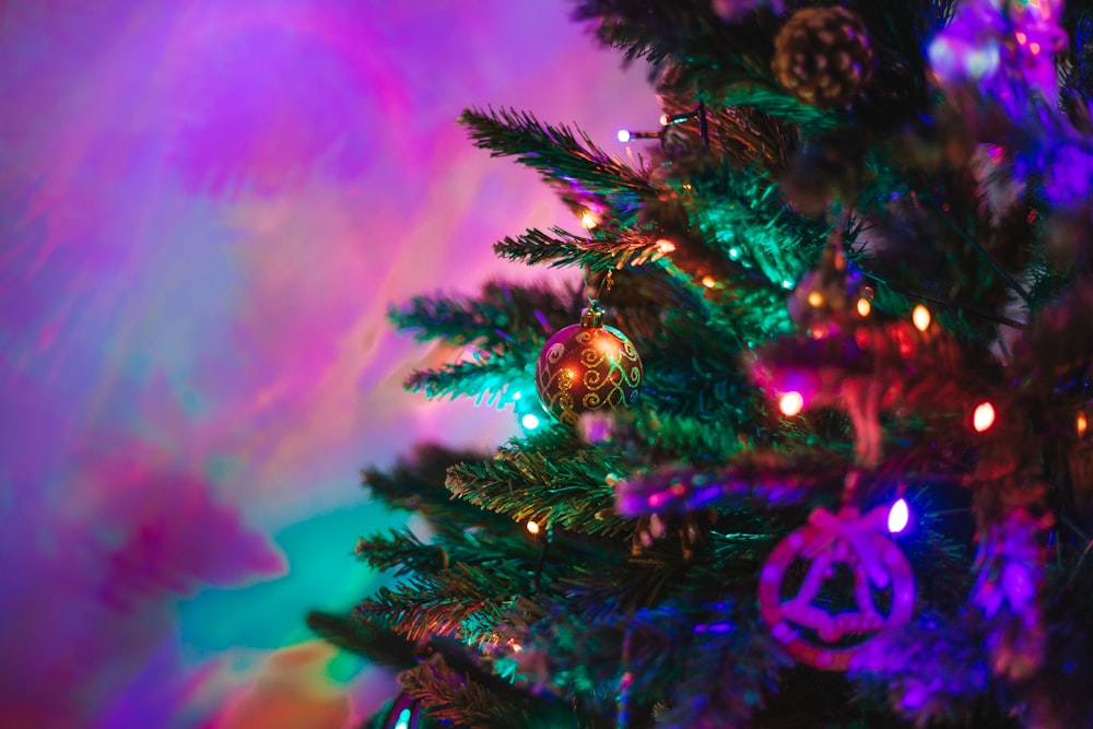 foto da árvore de Natal