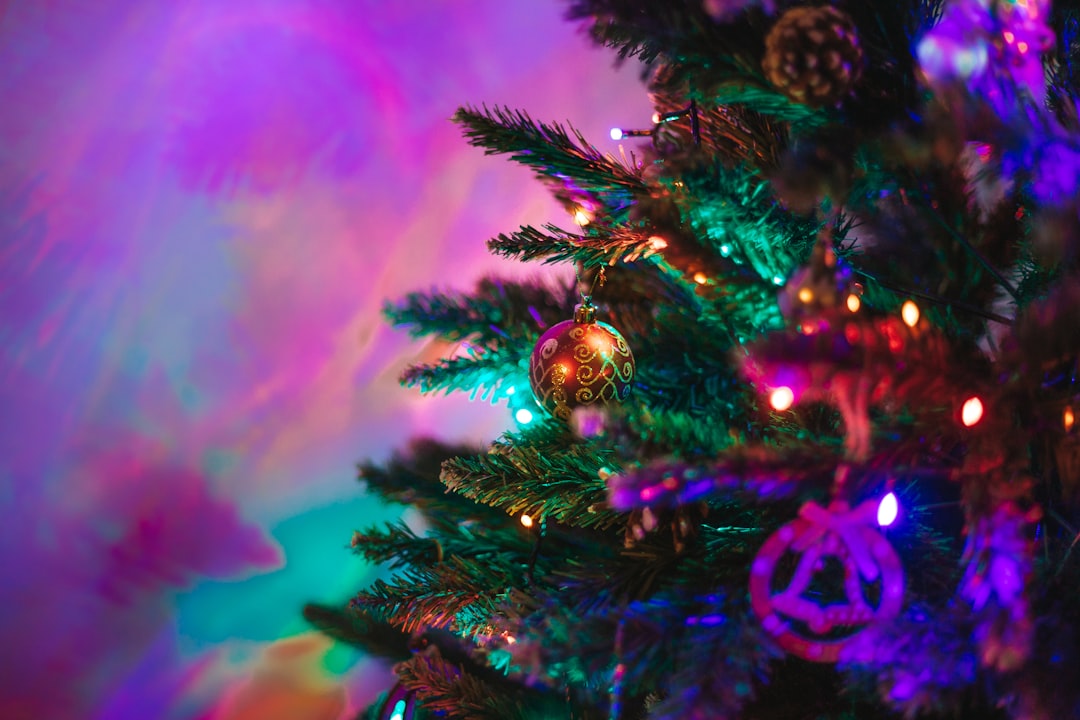 photo of Christmas tree